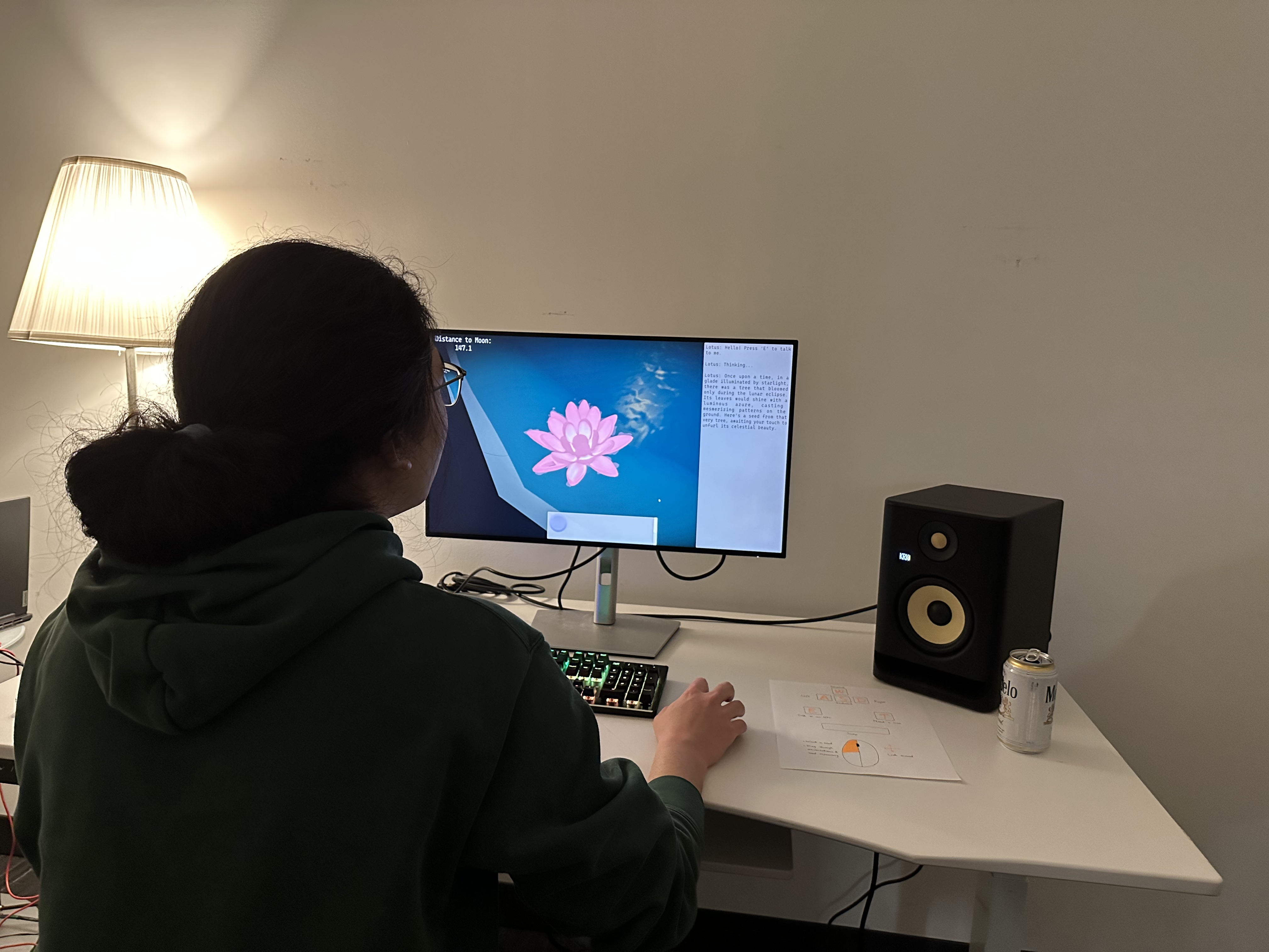 Photo 3 from Hearing the Forest project playtesting.